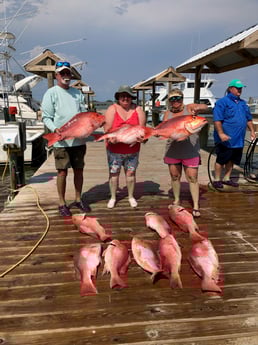 Red Snapper fishing in Dauphin Island, Alabama