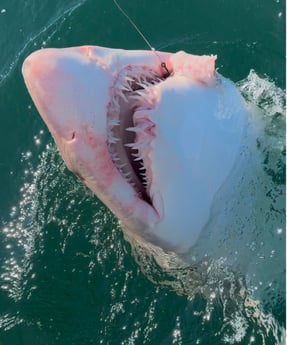Fishing in Port Orange, Florida