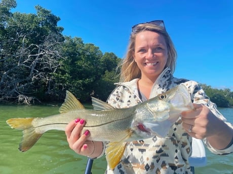Snook Fishing in Tavernier, Florida