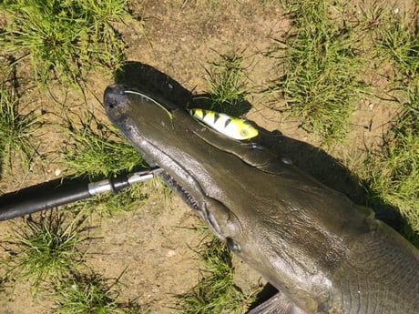 Fishing in Lufkin, Texas