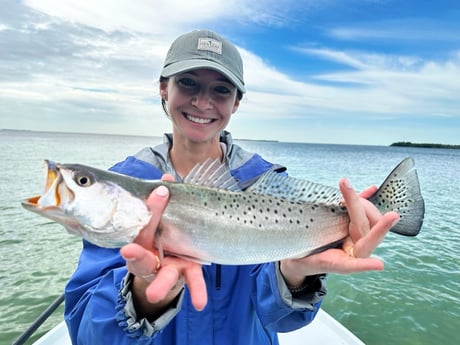 Fishing in Tavernier, Florida