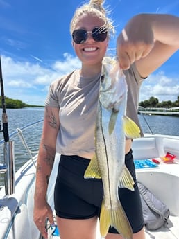 Fishing in Port Orange, Florida