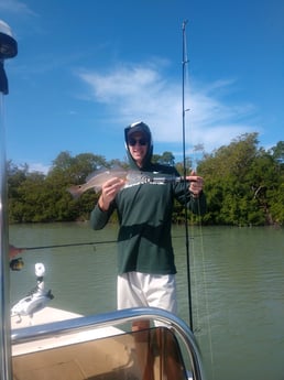 Goliath Grouper fishing in Naples, Florida
