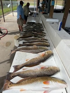 Redfish Fishing in Boothville-Venice, Louisiana, USA