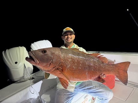 Fishing in Miami, Florida