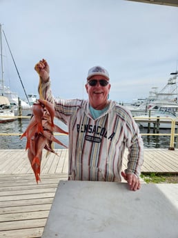 Fishing in Pensacola, Florida