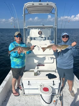 Fishing in McAllen, Texas