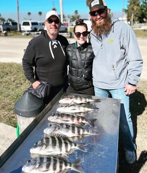 Sheepshead Fishing in Cape Coral, Florida