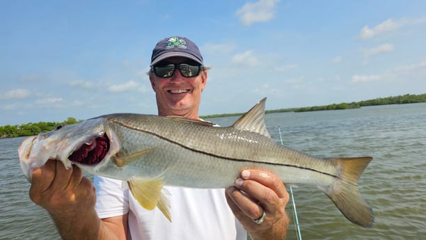 Fishing in Naples, Florida