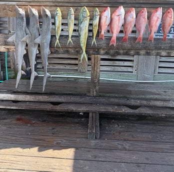 Fishing in Corpus Christi, Texas