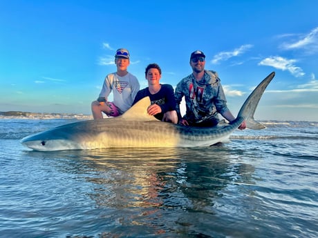 Tiger Shark Fishing in Corpus Christi, Texas