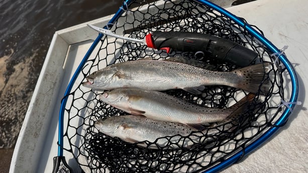 Fishing in DeFuniak Springs, Florida