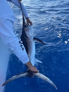 Fishing in St. Petersburg, Florida