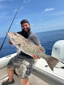 Fishing in Sarasota, Florida