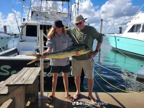 Mahi Mahi Fishing in Miami, Florida