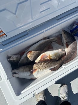 Fishing in Ingleside, Texas