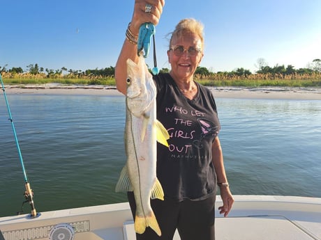 Fishing in St. Petersburg, Florida