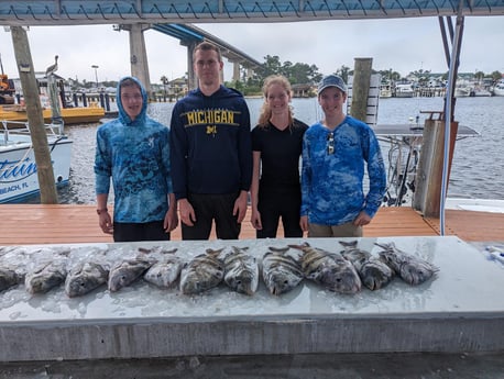 Sheepshead Fishing in Pensacola, Florida