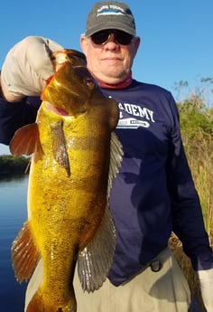 Peacock Bass fishing in Fort Lauderdale, Florida