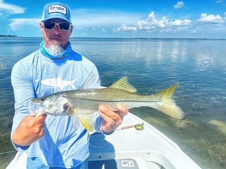 Snook Fishing in Tavernier, Florida