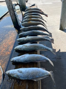 Redfish, Speckled Trout Fishing in Rockport, Texas