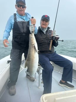 Fishing in Naples, Florida