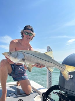 Snook Fishing in St. Petersburg, Florida