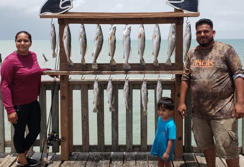 Speckled Trout / Spotted Seatrout fishing in Port Isabel, Texas