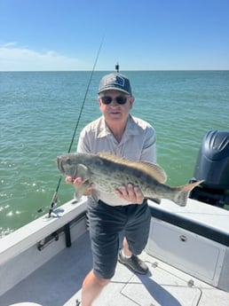 Fishing in Clearwater, Florida