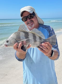 Fishing in Sarasota, Florida