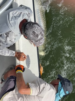 Tarpon fishing in Naples, Florida