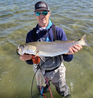 Speckled Trout / Spotted Seatrout fishing in Port O'Connor, Texas