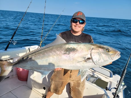 Amberjack Fishing in Clearwater, Florida