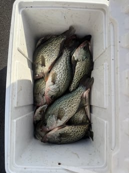 Fishing in Salisbury, North Carolina