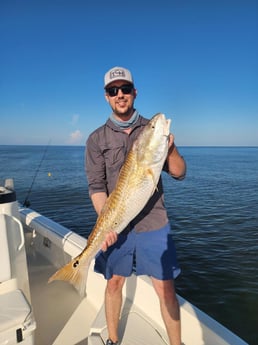 Redfish Fishing in Boothville-Venice, LA, USA