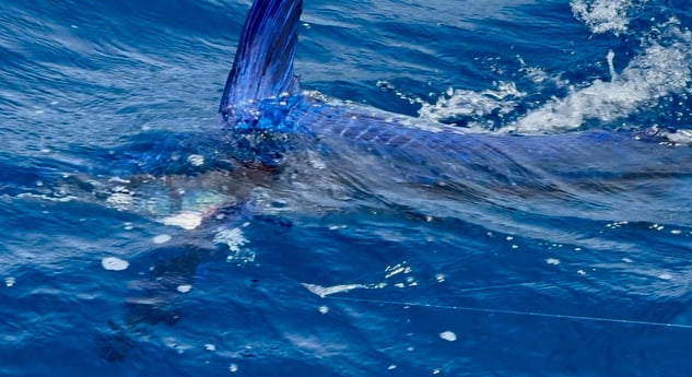 Fishing in Hatteras, North Carolina
