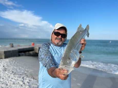 Fishing in Sarasota, Florida