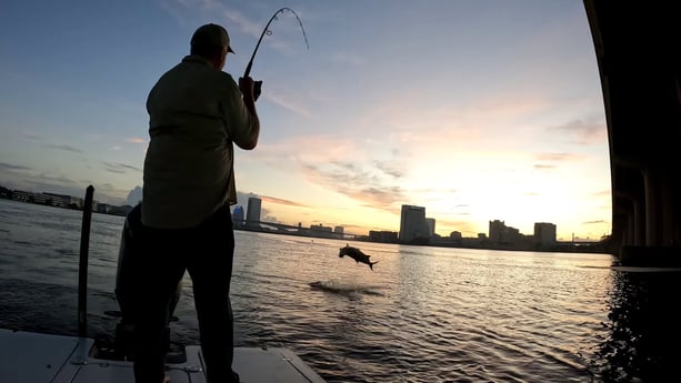 Fishing in Jacksonville, Florida