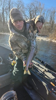 Steelhead Fishing in Verona Beach, New York