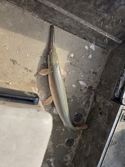 Fishing in DeSoto, Texas