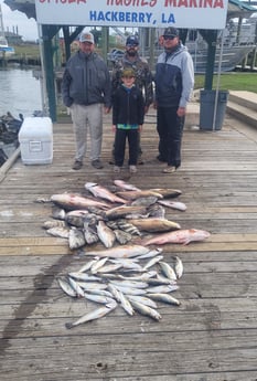 Black Drum, Redfish, Sheepshead, Speckled Trout Fishing in Sulphur, Louisiana