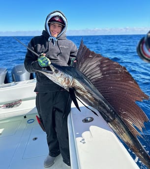 Sailfish Fishing in Riviera Beach, Florida