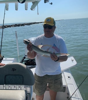 Bonnethead Shark Fishing in Galveston, Texas