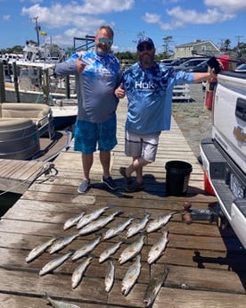 Speckled Trout / Spotted Seatrout fishing in Wanchese, North Carolina