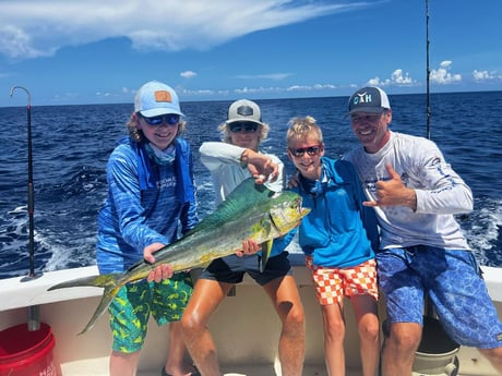 Mahi Mahi Fishing in Pompano Beach, Florida