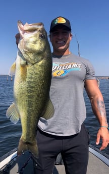 Largemouth Bass Fishing in Lake Fork, Texas