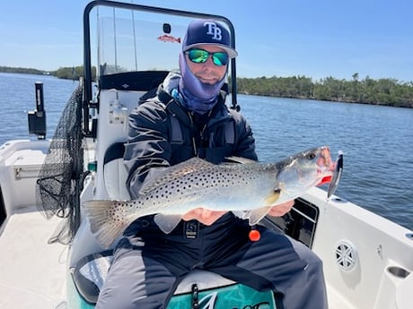 Fishing in Tampa, Florida