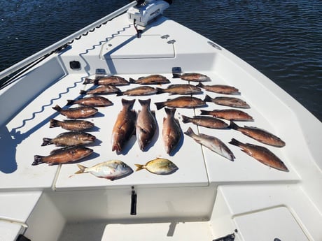 Fishing in Pensacola, Florida