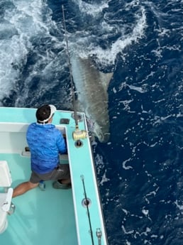 Fishing in Miami Beach, Florida