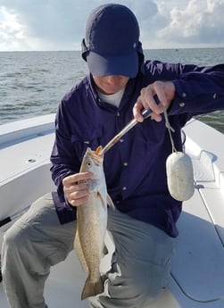 Speckled Trout / Spotted Seatrout fishing in San Leon, Texas